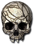 Flawed Skull