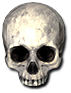Flawless Skull
