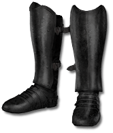Vidala's Fetlock